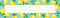 Lemon Zest Flat Name Plates, 11.5 x 3.5, Pack of 36