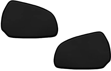 F-CORE Pannelli porta camion compatibile per SCANIA R 01.05-12.16 NERO