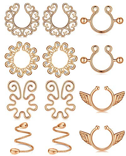 AceFun Edelstahl Nippelschmuck Ohne Piercing - Rosegold Nippel Ringe 6 Paare, Fake Brustwarzenpiercing, Body Schmuck für Frauen und Männer