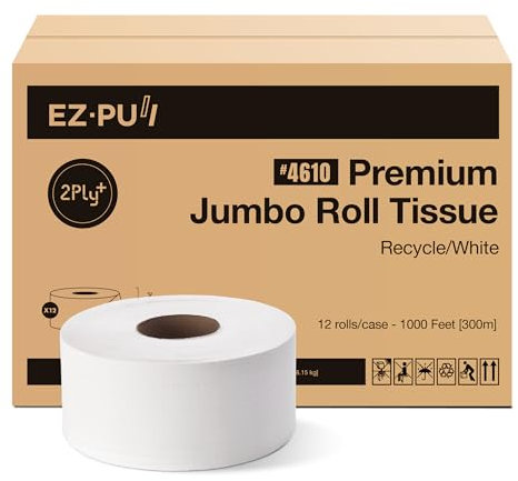 EZbrnd Lot de 12 rouleaux de papier toilette recyclé double épaisseur de 22,9 cm, pour salle de bain commerciale, noyau standard de 7,6 cm, sécurité septique/non parfumé, 304,8 m