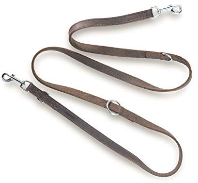 Jack & Russell Premium Fettleder Hundeleine Travis 2,0m - Hunde Lederleine extrem Stabil mit Edelstahl-Karabiner - Echtleder Leine mehrfach verstellbar – Travis (Dunkelbraun)