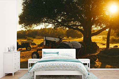 Selbstklebend Tapete Wandpapier Wandaufkleber Fototapete Tapeten Wanddeko 450x300 cm Traktor - Sonne - Baum - Landschaft