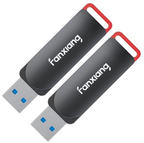 fanxiang USB Stick USB A 128GB 2 Stücke, bis zu 200MB/s, USB 3.2 für Smart-TV, Desktop, Laptops, Car Audio, Drucker, Kopierer und Smart-Lautspreche(F309 128GBx2)