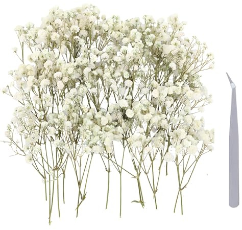 Schleierkraut Getrocknet, 100 Stück Trockenblumen Zum Basteln Mit Edelstahl Pinzette, Getrocknete Blumen Für DIY Deko, Hochzeitsdeko, Geschenkverpackung