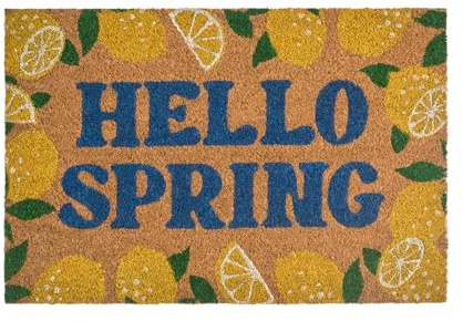 OHS Coir Door Mats Lemon Print, Washable Indoor Outdoor Door Mat Non Slip Stylish Dirt Trapper Doormats Heavy Duty Welcome Mat Front Doors Entrance Rug, Natural/Lemon - 40 x 60cm