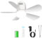 Gliztech Ventilateur de Plafond Extérieur 50CM, 20000mAh avec Lampe et Télécommande Silencieux, Pergola, Terrasse, Tente ou Parasol