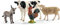 schleich 42385 Farm World Starter-Set, für Kinder ab 3+ Jahren, FARM WORLD - Spielfigur