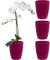 Santino Set di 4 vasi autoirriganti con sistema di stoppino e indicatore del livello dell'acqua per interni, vaso per orchidee D 16,5 cm (viola – 3,3 l)