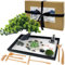 LuXianYS Kit da giardino zen giapponese, 30,5 x 20,3 cm, mini kit da giardino zen, set regalo per mini giardino zen, decorazione per la casa, set regalo per meditazione, giardino zen Buddha per
