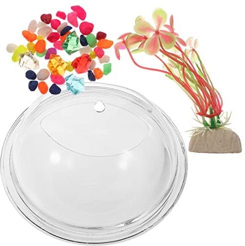 minkissy Vase Mural Décoratif pour Plantes Intérieur Et Aquariums Style Aléatoire Miroir Installation Facile