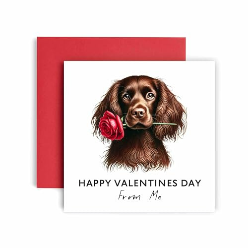Huxters Valentines Card from the Dog – Cocker Spaniel Brown - Happy Valentines to Dog Mum and Dog Dad – Dog Best Friend (Cocker Spaniel Brown)