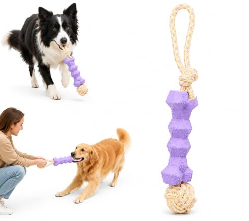 Flamingo Hundespielzeug - Joanie Zerrseil mit Gummiknochen und Knoten Violett/Gelb - Polyester und TPR - Zum Zerren und Kauen - 37,5 x 6,5 x 6,5 cm