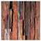 murando - Vlies Tapete Deko Panel Fototapete Wandtapete Wand Deko 10 m Tapetenrolle Mustertapete Wandtapete modern design Dekoration - Holz Bretter f-C-0334-j-a