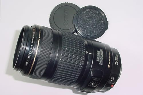 Full frame lens for Canon 70-300mm F/4-5.6 EF IS USM Zoom Image Stabilizer Lens