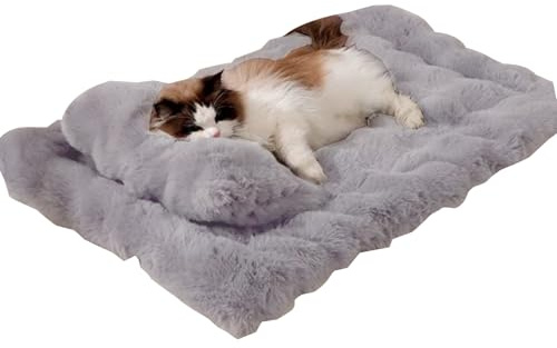 lyanny Katzenbett,Weiche Mit Abnehmbarem Kissen - Katzenschlafmatte Hundebett - Für Kätzchen Klein Mittel Groß Indoor Zuhause Wohnung Boden Couch Transportbox Hundehütte