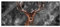 Pixxprint Glasbild Panorama, Wandbild aus Echtglas, Machtvoller Hirsch im Winterwald B&W Detail, 100x40 cm, inkl. Aufhängung und Abstandshalter