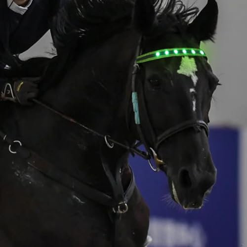QQY LED Korsett Führende Pferd Kopf Reifen LED Streifen Visuelle Positionierung Pferd Kopf Gurt für Nacht Reiten Veranstaltungen (Grün)
