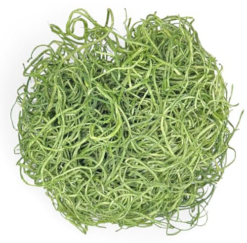 MIJOMA Deko Gras für Bastelfreude: Holz-Fasern zum Basteln, Ostergras für Nest & Geschenke, 30g, Vielfältige Farben (Dunkelgrün)