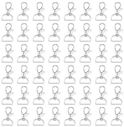 Iyowei 60Pcs D Ring Keyring, 24mm / 1 inch Outside Width Metal Lobster Clasps Swivel Keyring Key Chain Hooks for Bag Buckle Straps Belt Backpack Key Chain DIY Accessories