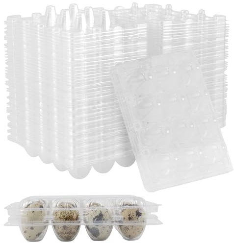 MUNGHOK 60 Stück Wachteleierschachteln 12er, Wachteleier Karton aus Kunststoff, Transparente Wachteleierschachteln Plastik Eierschachtel für Wachteleier Verpackung
