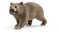 SCHLEICH 14834 Wombat, für Kinder ab 3+ Jahren, WILD Life - Spielfigur