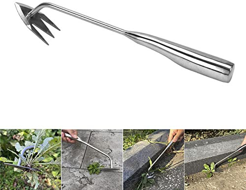 Acier Inoxydable Desherbeur Manuel, 34.5cm, Rateau Desherbage,DéSherbeurs Manuels,Outillage De Jardin, Uutils Jardinage