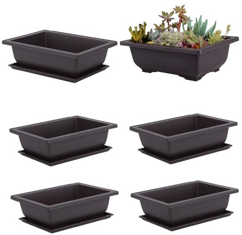 Comebachome Bonsai -Töpfe, 10pcs 6,3 x 4,7 Zoll Quadrat Bonsai Tree Pot mit Untertasse, Plastik Bonsai Trainingstöpfe, Bonsai -Pflanzer für Blumen -Sukkulentenwachstum