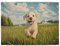 Snugozo 500 Pieces Wooden Jigsaw Puzzles For Adults, Dogs Playing On Lawn, Full Of Energy, Stress Release, Relaxing Entertainment Game, Home Wall Art, Suitable Gift For Pet Lovers