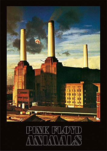 PINK FLOYD Pyramid International (Animals) -Canvas Print 85 x 120cm, Wood, Multicolour, 85 x 120 x 1.3 cm