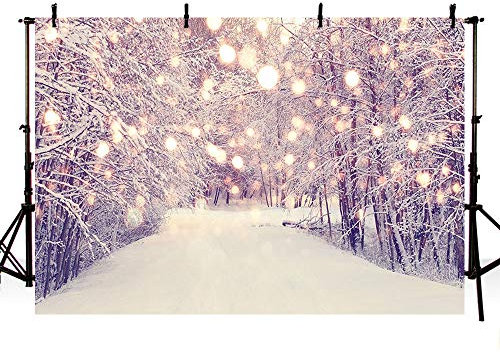 Mehofoto Weihnachtsbanner für Fotostudio mit Sternen