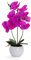 Bornbridge Künstliche Orchidee – Gefälschte Orchidee mit fühlen sich echt an – Faux Orchidee mit langem Stiel Kunstblumen – Topforchidee/Kunststoff-Orchidee Gefälschte Blumen (einzeln, violett – groß)