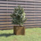 Fioriera da Giardino marrone 31x31x31 cm Legno Massello di Pino,Fioriera in Legno Rettangolare Marrone per Piante e Fiori, da Esterno e Fai da Te Vasi e accessori per piante