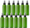 TIANZD 12 Pieces Empty 100 ml Green PET Plastic Fine Mist Pump Spray Bottles with Black Top Portable Sprayer for Perfume Water Cosmetic Travel Containers Refillable, 2X Funnel