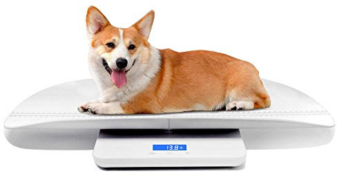 Digitale Haustierwaage, Babywaage, mit 3 Wiegemodi (kg/oz/lb), Max 220 lbs, Präzision bis zu 0.02lbs, Weiß