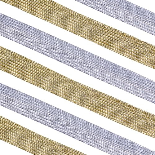 GORGECRAFT 24 Yard 2 Farben Elastisches Band 12.5mm Breit Glitzerndes Metallisches Band Flaches Elastisches Band Geflochtenes Stretchband Elastizität Gestricktes Gurtband Bekleidungszubehör Nähen