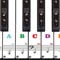 Pegatinas de Teclas de Piano Extraíbles Sin Residuos, Pegatina de Piano para 49, 54, 61, 88 Teclas
