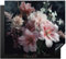 KitchenYeah© Protection Plaque Cuisson Deco Cuisine Cache Induction 60x52 cm Protege Pour Cuisiniere Protection Fleurs - Rose - Vapeur - Plantes - 60x52 cm