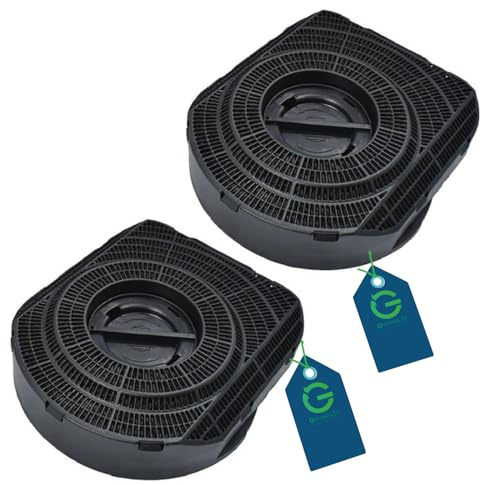 G GRIMALDI Kit 2 Filtri Carbone Attivo Type 200 per Cappa Aspirante Cucina Compatibile Elica Filtro Antiodore 206x196x49mm codici 9029793651 484000008577 9029800605 CFC0140122