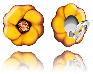 Retro Groß Runde Clip Ohrringe - Ohrclips Ohne Ohrlöcher für Damen (Stil 12 - Blumen Gelb)