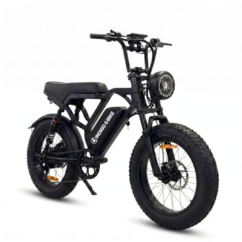 BBSHD Elektrisches Fat Tire E-Bike 20 * 4.0 Zoll, 20Ah Akku,