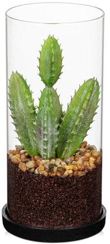 Arborus Künstliche Sukkulenten im Glas Künstlicher Kaktus wie Echt 20 cm Kunstpflanzen Klein Tisch Deko Regal Deko Sukkulenten Deko Dekopflanzen Klein für Büro Deko Wohnzimmer Deko Bad Deko