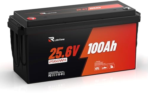 Batteria al Litio 24V 100Ah Lifepo4 per Camper e Fotovoltaico con Batteria Litio 100Ah BMS Integrato Celle Grado A per Barche Accumulo Energetico e Impianti Solari Autonomi