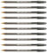 Bic - 10 bolígrafos grandes de 1,6 mm - Color negro - Trazo grueso