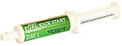 Fullbucket Health Foal Kick Start Immune Paste 80ml