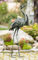 Dekoleidenschaft Dekofigur Reiher aus Metall, 90 cm hoch, schwarz grün Gold, Fischreiher, Vogelschreck, Gartendeko für Draußen