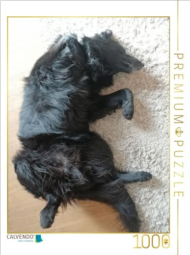 CALVENDO Puzzle dem Hund gehts gut | 1000 Teile Lege-Größe 64 x 48 cm Foto-Puzzle für glückliche Stunden