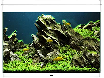 CIANO Aquarium Emotions Pro Aquarien weiß 80