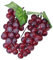 Venkaite 2pc Deko Kunststoff Weintrauben Wein Trauben Kunstobst Plastikobst künstliches Obst Gemüse Dekoration (Rote)