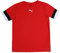 PUMA Mixte enfant Teamrise Jersey Jr Shirt, Puma Rouge-puma Noir-puma Blanc, 176 EU