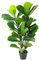 Leaf Design UK Kunstpflanze Feigenbaum, realistisch